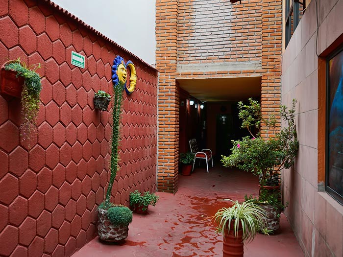 Hotel Calli Yolotl 11