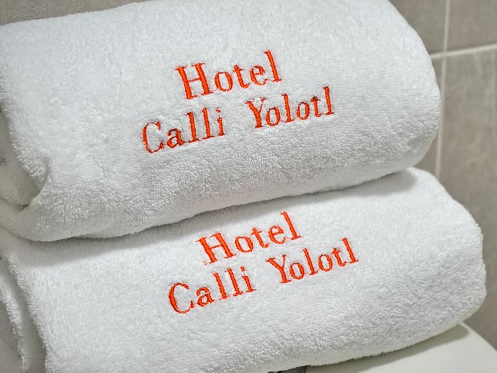 Hotel Calli Yolotl 13