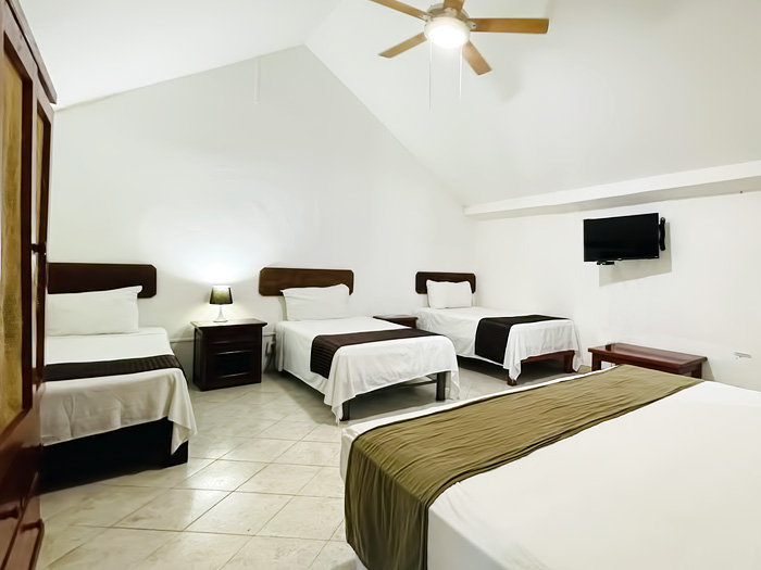 Hotel B&B 29
