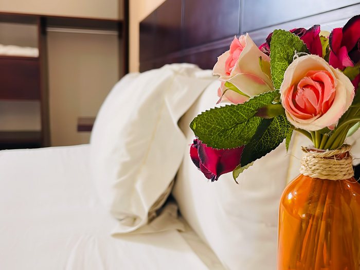 Hotel Papagayo 15