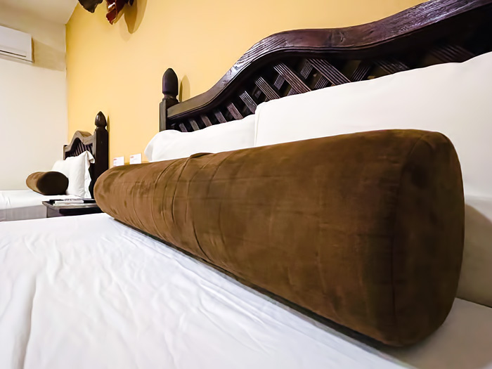 Hotel Papagayo 27