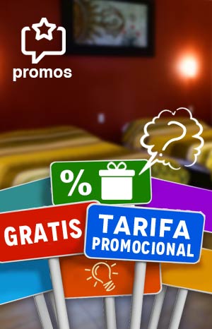 Proms-News